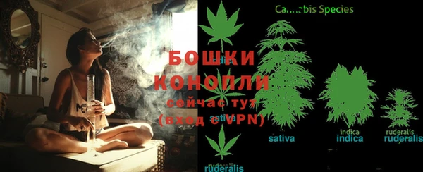 ALPHA PVP Дмитров