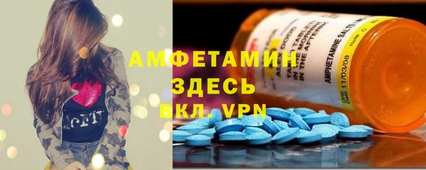 гашик Дмитровск