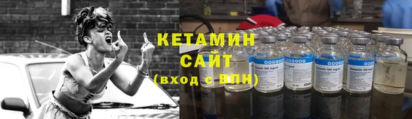 гашик Дмитровск