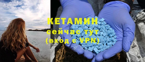 гашик Дмитровск