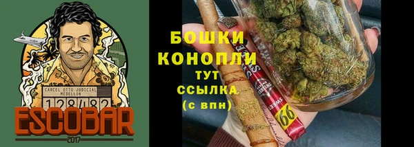 гашик Дмитровск