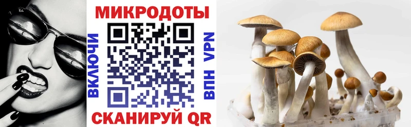 Галлюциногенные грибы Magic Shrooms  Купить закладки  Скопин 